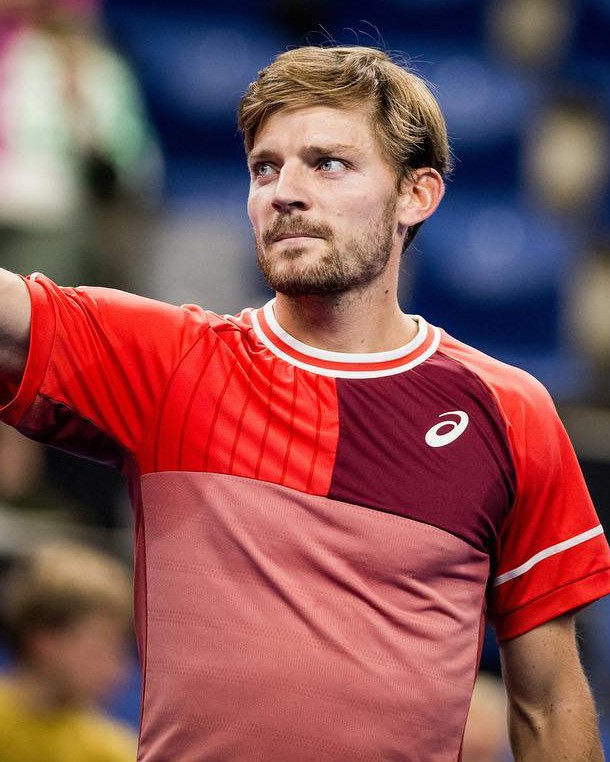Goffin