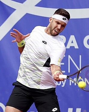 Vesely